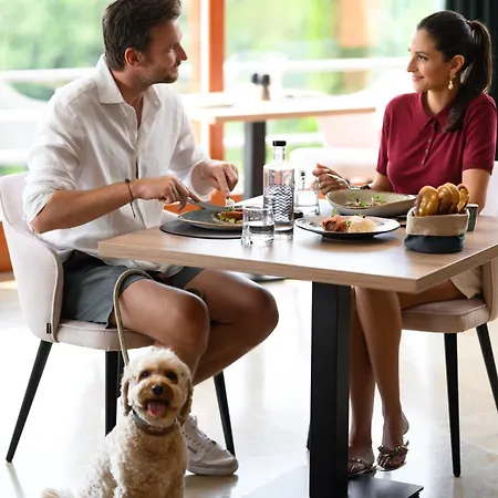 Narad Mátraszentimre